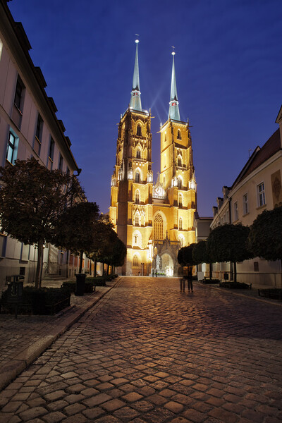 Cathedral at Night in City of Wroclaw Picture Board by Artur Bogacki