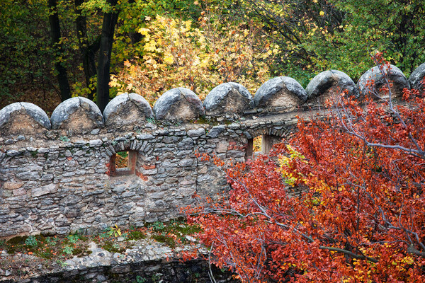 Medieval Castle Wall In Autumn Picture Board by Artur Bogacki