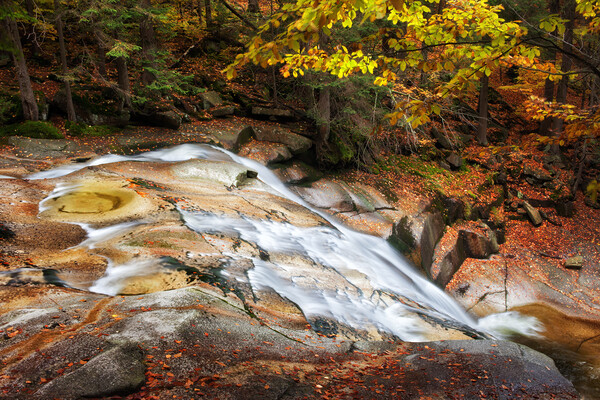Mountain River In Autumn Picture Board by Artur Bogacki