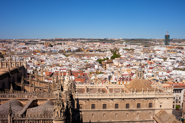 City of Seville Cityscape in Spain Picture Board by Artur Bogacki