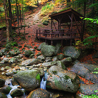 Buy canvas prints of Creek In Autumn Mountain Forest by Artur Bogacki
