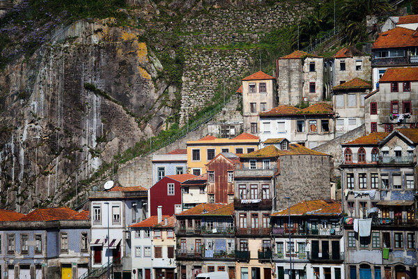 Houses of Porto Picture Board by Artur Bogacki