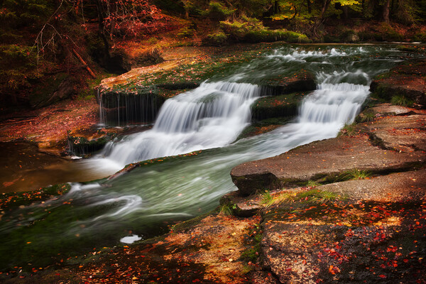 Autumn Stream With Water Cascade Picture Board by Artur Bogacki