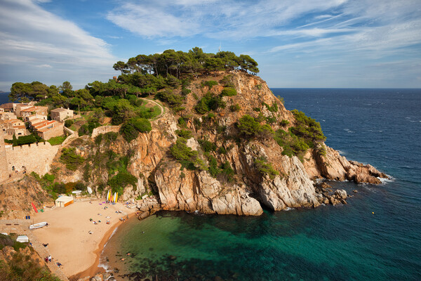 Tossa de Mar Beach and Cliff in Spain Picture Board by Artur Bogacki