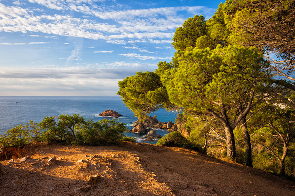 Mediterranean Sea Coastline in Spain Picture Board by Artur Bogacki