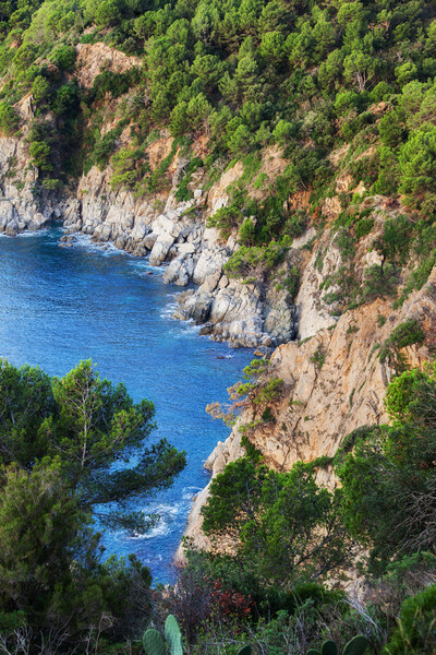 Costa Brava Coastline in Spain Picture Board by Artur Bogacki