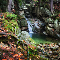 Buy canvas prints of Waterfall in Mountain Forest by Artur Bogacki
