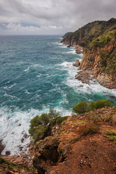 Mediterranean Sea Coastline on Costa Brava in Spain Picture Board by Artur Bogacki