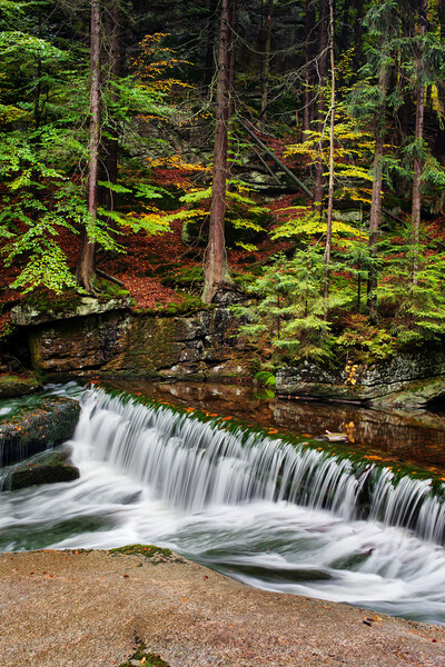 Stream With Water Cascade In Autumn Forest Picture Board by Artur Bogacki