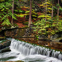 Buy canvas prints of Stream With Water Cascade In Autumn Forest by Artur Bogacki