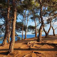 Buy canvas prints of Coastal Sunset on Costa Brava in Spain by Artur Bogacki