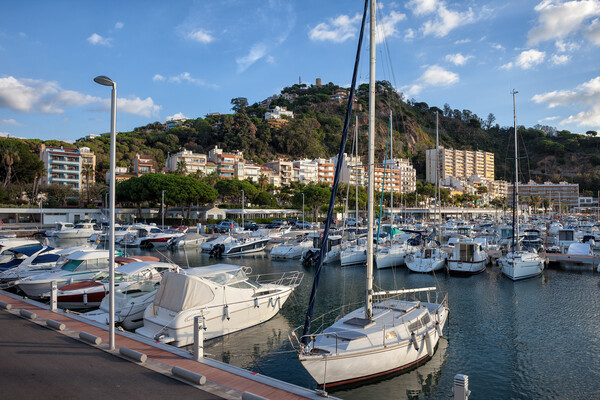 Marina in Blanes Town in Spain Picture Board by Artur Bogacki