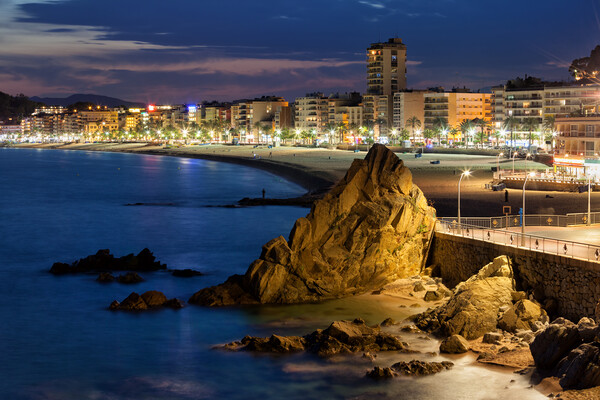 Lloret de Mar Town at night in Spain Picture Board by Artur Bogacki