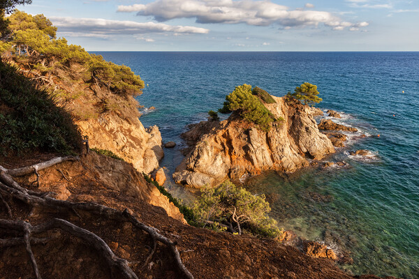 Costa Brava Coastlline of Mediterranean Sea in Spain Picture Board by Artur Bogacki