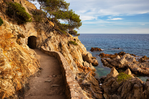 Costa Brava Seaside Trail In Spain Picture Board by Artur Bogacki