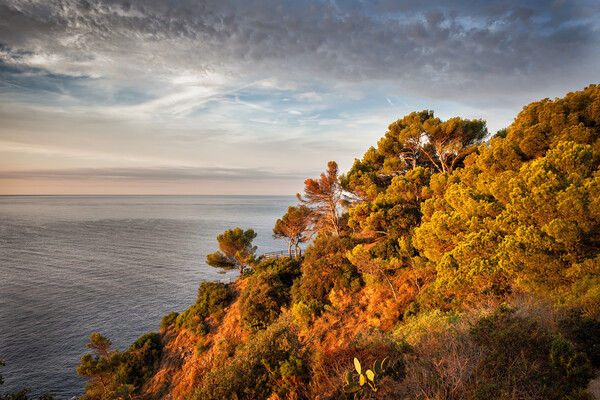 Sea Coast at Sunrise in Spain Picture Board by Artur Bogacki