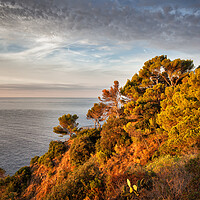 Buy canvas prints of Sea Coast at Sunrise in Spain by Artur Bogacki