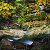 Buy canvas prints of Creek In Autumn Mountain Forest by Artur Bogacki