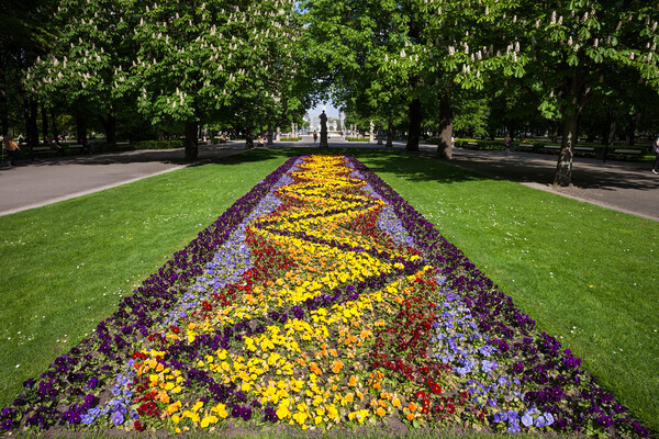 Flowers in Saxon Garden in Warsaw Picture Board by Artur Bogacki