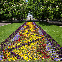 Buy canvas prints of Flowers in Saxon Garden in Warsaw by Artur Bogacki