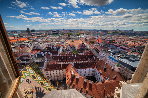 City of Vienna from St. Stephen Cathedral Picture Board by Artur Bogacki