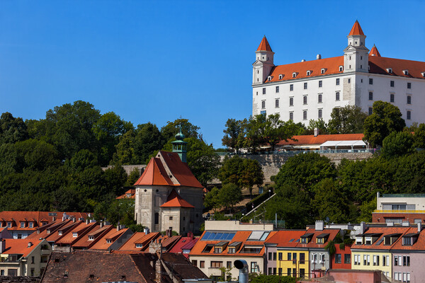 Bratislava Houses and Castle Picture Board by Artur Bogacki