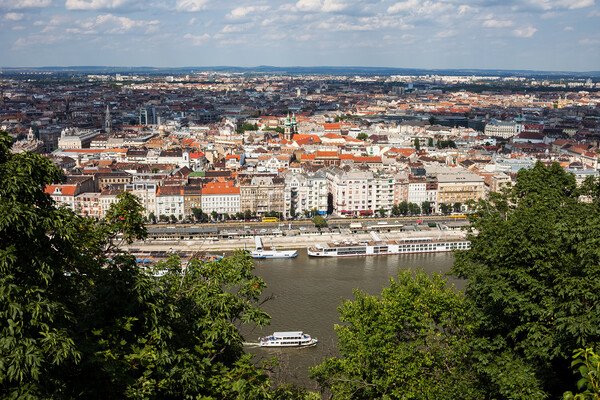 City Of Budapest Cityscape From Gellert Hill Picture Board by Artur Bogacki