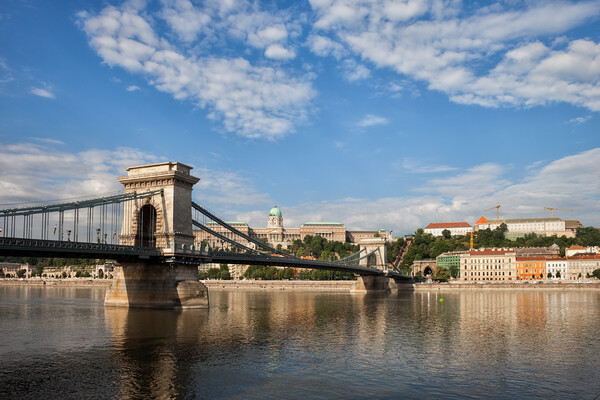 Chain Bridge on Danube River in Budapest Picture Board by Artur Bogacki