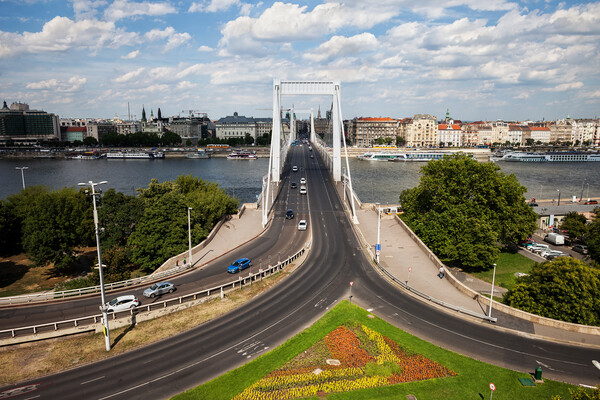 Budapest City Skyline With Elisabeth Bridge Picture Board by Artur Bogacki
