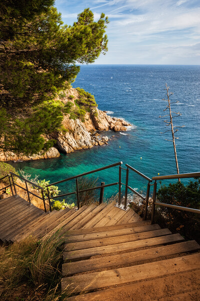Wooden Stairs To The Sea Picture Board by Artur Bogacki