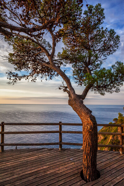Sunrise On Sea From Viewpoint Terrace Picture Board by Artur Bogacki