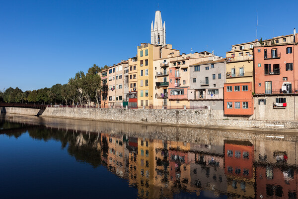 City Of Girona Old Town Houses At Onyar River Picture Board by Artur Bogacki