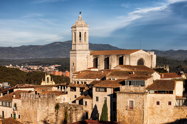 Girona Cathedral In The Old Town Picture Board by Artur Bogacki