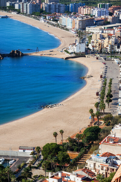 Beach And Blanes Town On Costa Brava In Spain Picture Board by Artur Bogacki