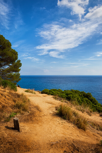 Costa Brava Cliff Top Trail at Mediterranean Sea Picture Board by Artur Bogacki