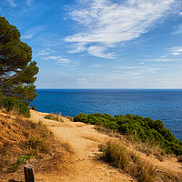 Buy canvas prints of Costa Brava Cliff Top Trail at Mediterranean Sea by Artur Bogacki