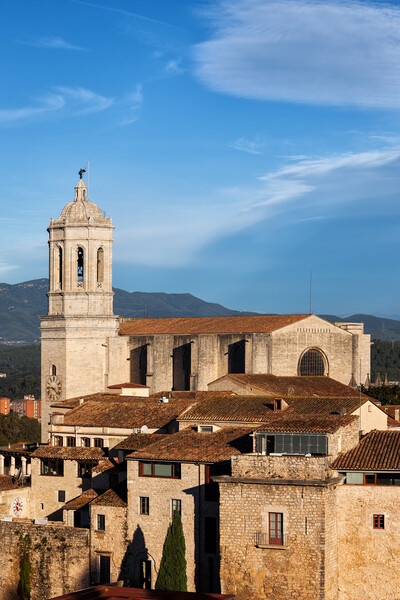 Girona Old Town With Cathedral Picture Board by Artur Bogacki