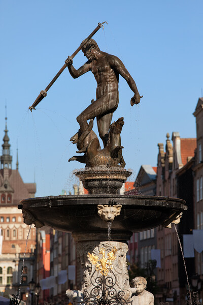 Neptune Fountain In Gdansk Picture Board by Artur Bogacki