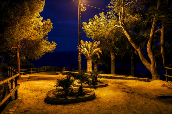 Night In Park By The Sea Picture Board by Artur Bogacki