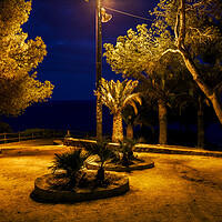 Buy canvas prints of Night In Park By The Sea by Artur Bogacki