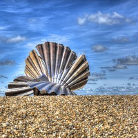 Buy canvas prints of Sea Shell on Beach  by Toby Truelove