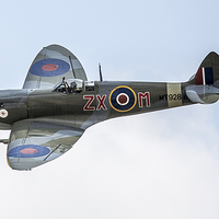 Buy canvas prints of  Spitfire by Toby Truelove