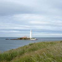 Buy canvas prints of St Mary's Lighthouse, Whitley Bay by David Graham
