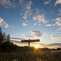 Buy canvas prints of The Angel of the North at Sunset by David Graham