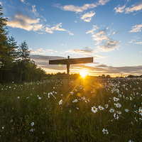 Buy canvas prints of The Angel of the North at Sunset by David Graham