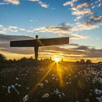 Buy canvas prints of Angel of the North at Sunset by David Graham