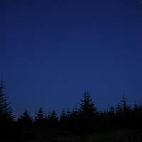 Buy canvas prints of Nights sky above the tree line by David Graham