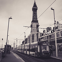 Buy canvas prints of Tram at Blackpool Tower Tram stop by David Graham