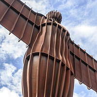 Buy canvas prints of The Angel of the North, Gateshead by David Graham