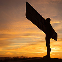 Buy canvas prints of The Angel of the North, Gateshead - sunset by David Graham